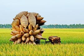 From South to North Vietnam Tour 12 Days