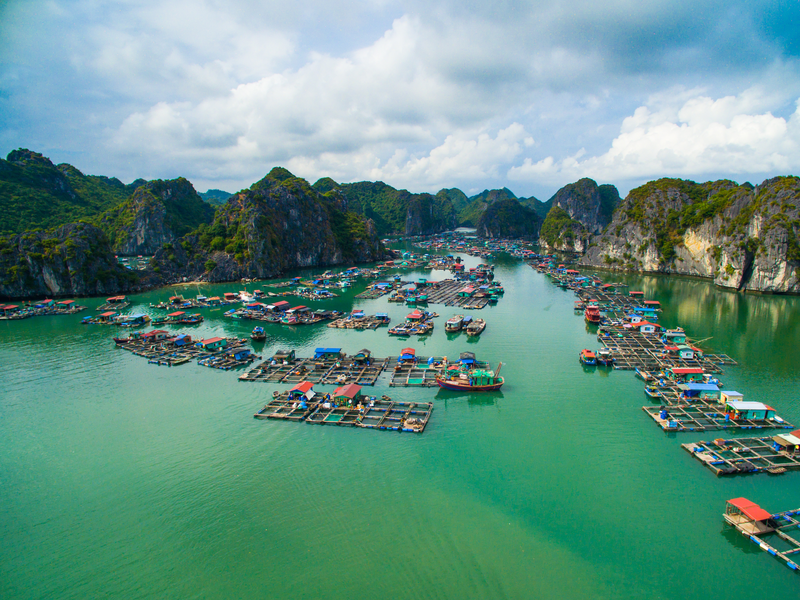 Halong Bay Cruise Tour