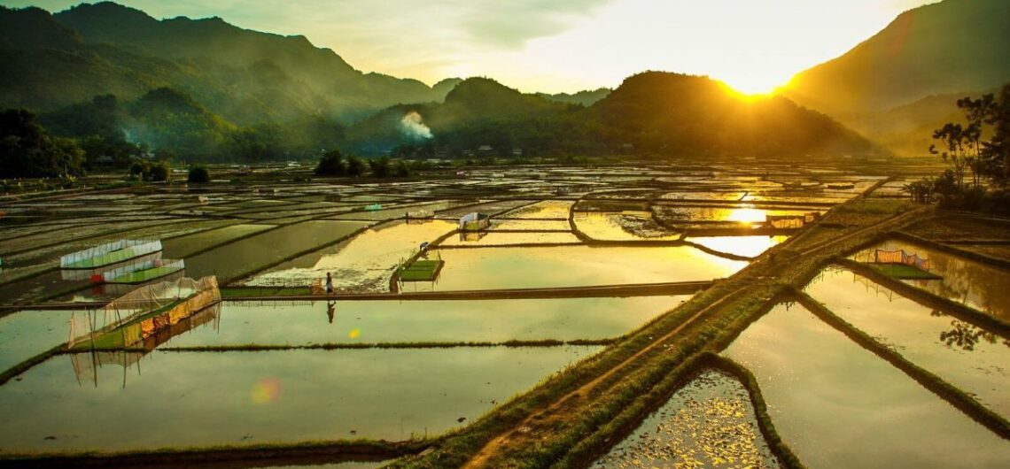 When Is the Best Time to Visit Vietnam? Complete Climate & Travel Guide