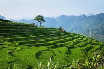 3 Weeks Vietnam Itinerary - Pu Luong (Thuy Troc Le)