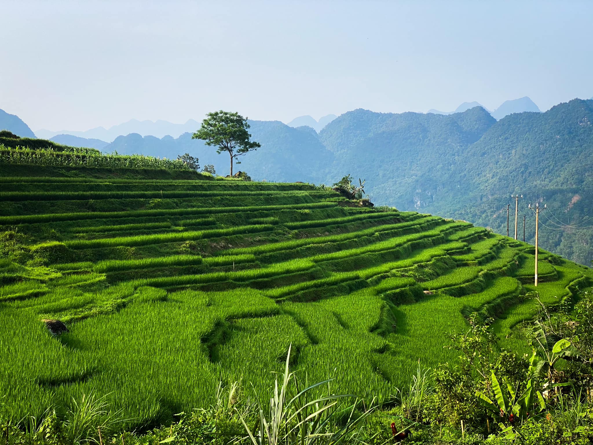3 Weeks Vietnam Itinerary - Pu Luong (Thuy Troc Le)