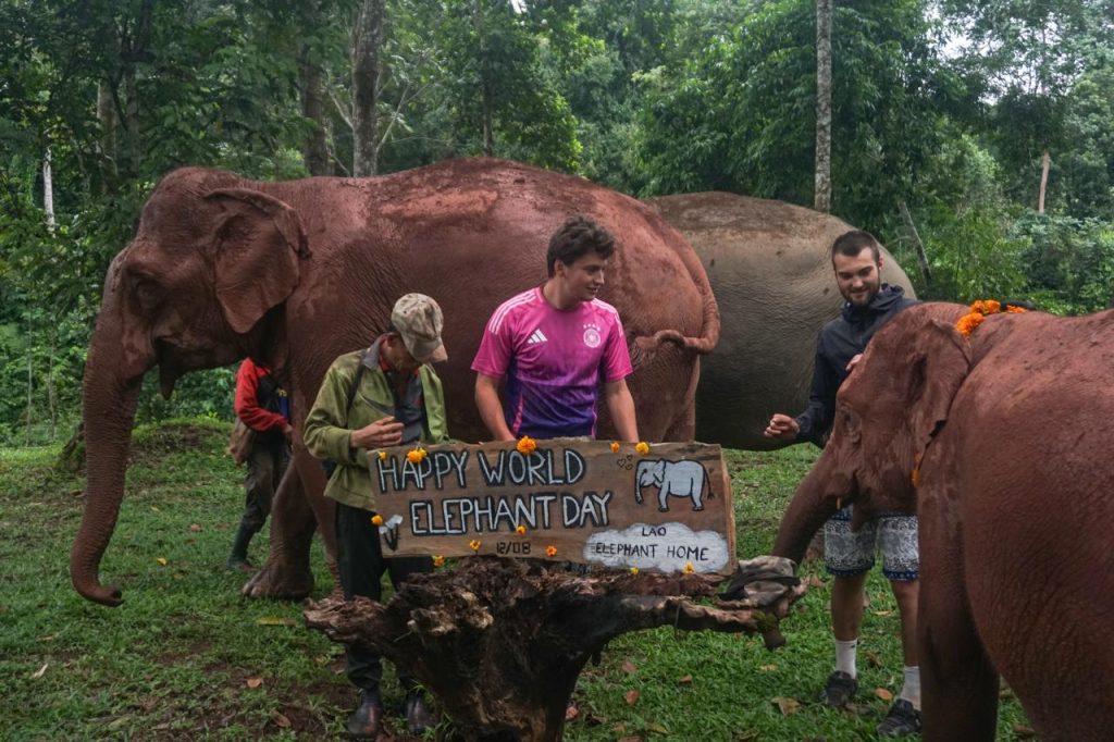 World Elephant Day (Source: Laos Elephant Home)