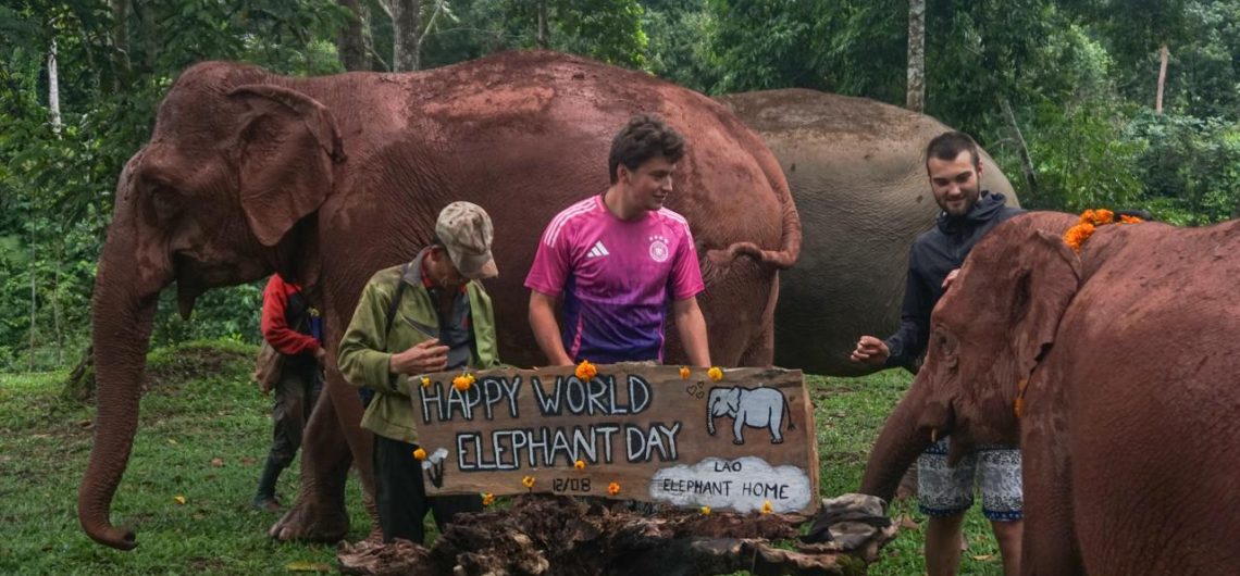 World Elephant Day (Source: Laos Elephant Home)