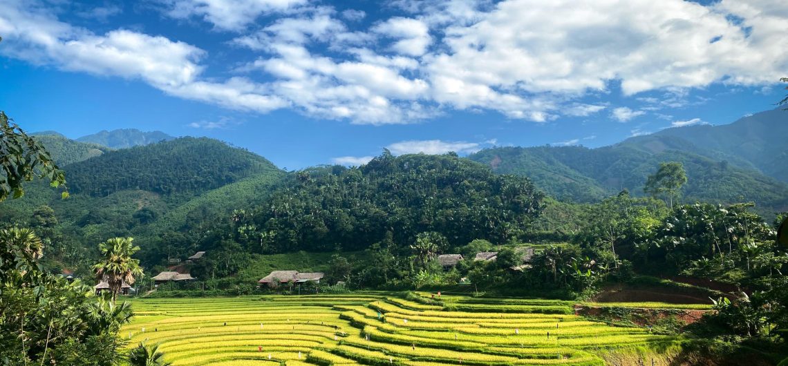 The Rice Fields of Pu Luong Vietnam in June (Thuy Troc Le)
